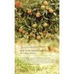 Plant Origins Citrus Breeze Body Wash (500ml)