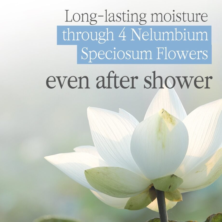 Bouquet Garni Perfumed Body Wash/Body Shower (520ml)