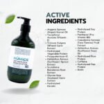 HUMIDE Anti-Hairloss & Repair Solution Hair Shampoo 500ml